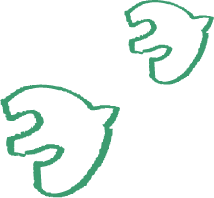鳥のイラスト